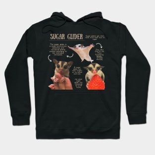 Animal Facts- Sugar Glider Hoodie